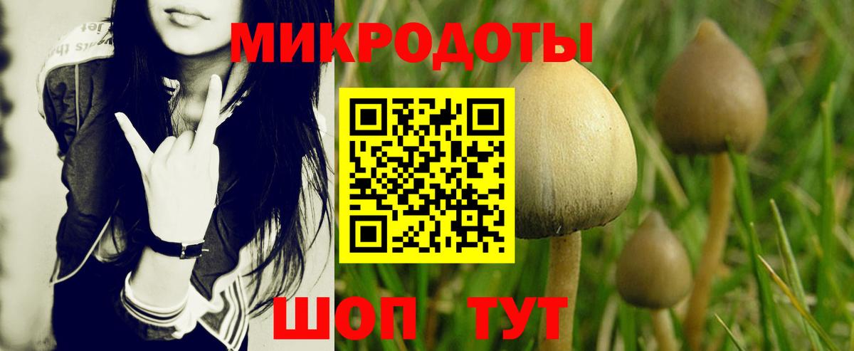 Бугуруслан  Псилоцибиновые грибы мицелий  Вход с VPN  хочу   Галлюциногенные грибы Psilocybine cubensis 
